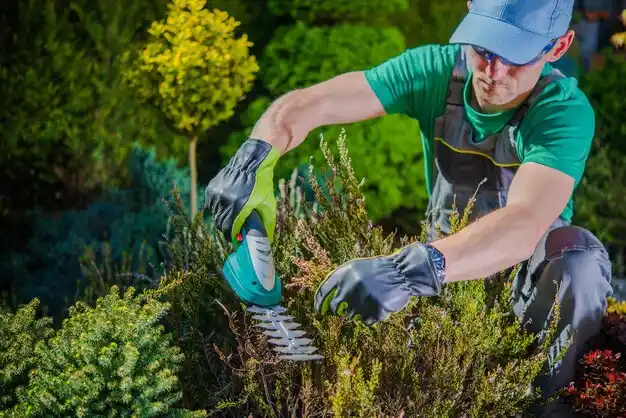 landscaping services Village of Grosse Pointe Shores